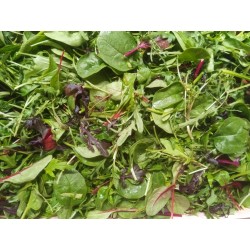 Mesclun Asia, 100g