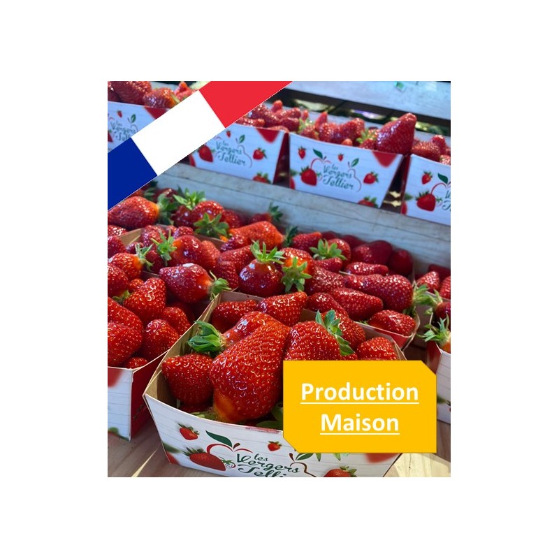 FR004_1