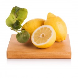 A009_1